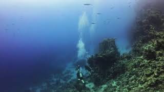 Red Sea Scuba diving 2 360