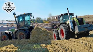 Тракторы CLAAS Xerion 5000, Xerion 3300 Trac VC (с разворотной кабиной) и К-700А трамбуют силос!