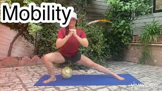 FULL BODY STRECH / Mobility workout 3min at home حرکات انعطافی پشتیبان سلامت