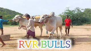 RVR BULLS GUDIPADU