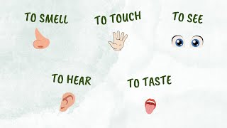 The 5 Senses : Learn Easy & Fun in English