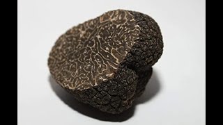 "cuisinez la truffe" Croustillants de canard à la truffe, façon samoussas de Nicolas