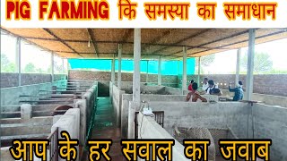 Pig farming शुरू करने से लोन लेने कि हर समस्या का समाधान।Pig farm के आप के सवाल हमारे जवाब।#pig