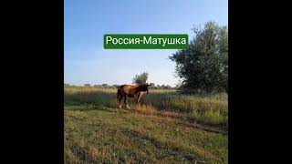 Россия-Матушка #трибогатыря #природа @julpatova_34 #любовьксебе