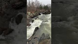 Great Falls Maryland #1