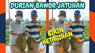 Durian Bawor Jatuhan Bikin Ketagihan