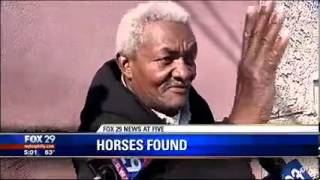 Fox 29 - PSPCA Shuts Down Illegal Horse Stable