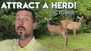 Deer Actually LIKE this Stuff!? October flavor Experiment