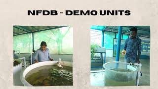 NFDB INTERNSHIP PROGRAM-2021