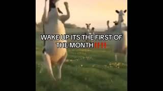 wake up its the first of the month|#dancingcow #october #shorts #viral #trending