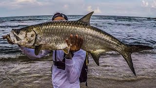 Tarpon | Penn Spinfisher VI 4500