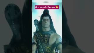 Om namah shivaye #love #song #happy #shiv #ytshorts #mahadev #mahakal #shortvideo #youtube