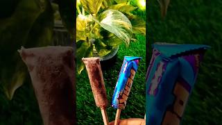 আজ বানালাম ক্যাডবেরি পার্ক আইস ক্রিম #shorts #viral #ice cream#rupchota