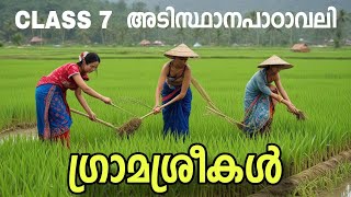 ഗ്രാമശ്രീകൾ  Std 7 മലയാളം Gramasreekal  Class 7 Malayalam VISAK M.mp4