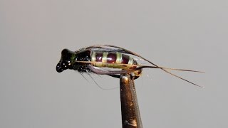 ,,CADDIS PUPA,, -  ЗИМНИЙ  вариант  SVA