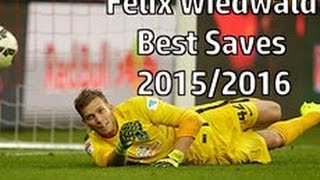 Felix Wiedwald | Best Saves | 2015/2016