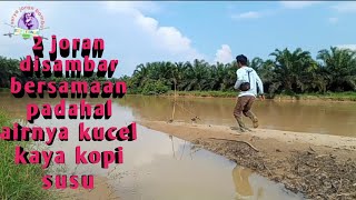 TUHAN MAHA ADIL JANGAN TAKUT BONCOS.! Pakai 3 umpan ini aja | mancing di sungai saat keruh