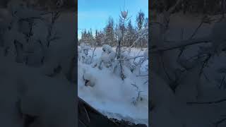 Crossing Sheep Creek near Willow, Alaska 1/17/24