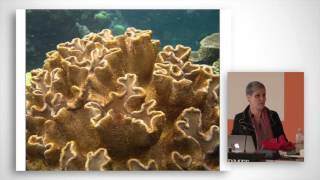 Summer School 2016 Public Lecture - Corals, Carbon & The Cosmos