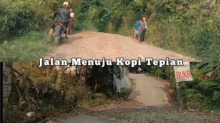 SEPERTI INI JALAN MENUJU "KOPI TEPIAN" SENTUL | Rute dan Kondisi Jalan