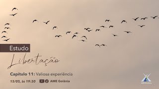 Estudo Libertação - capítulo 11 - Valiosa experiência