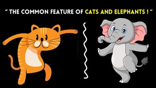 What Is Digitigrade | The Common Feature of Cats and Elephants