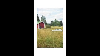 Film photography in the Finnish countryside