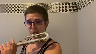 Alto flute improv