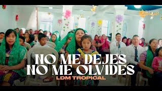 LDM Tropical - No Me Dejes y No Me Olvides (En Vivo)