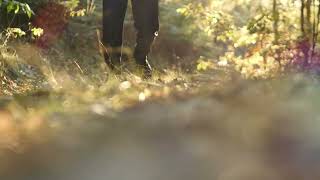 4K Free Stock Footage: Man in a suit walking in grass