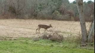 Visitor at the DNRT Office