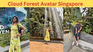 Cloud forest | Avatar Experience - Full Details | day 5 #ravishingCouple