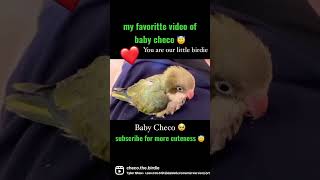 One of the cutest video of baby checo 🥰