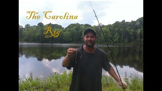 How To Fish The Carolina Rig