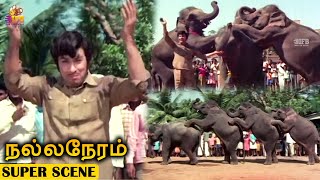 M.G.R Well Trained His Elephant Super Scene - Nalla Neram | K.R.Vijaya | Nagesh | Sundarrajan | IFB