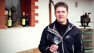 Vinařství Horák: Nejsem začal sám vinařit, učil jsem se od těch nejlepších