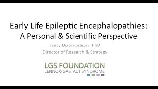 Early Life Epileptic Encephalopathies: A Personal and Scientific Persepctive