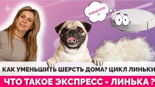 Как уменьшить шерсть дома? Цикл линьки. Что такое экспресс - линька?