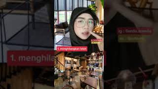 3 FAKTA MENGEJUTKAN DIBALIK LAMPU CAFE BERWARNA KUNING 😱 kamu suka lama-lama di cafe juga ngga? 😱✨