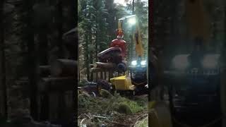 Харвестерная головка Woody 🌲🌲🌲