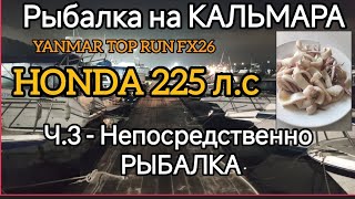 РЫБАЛКА НА КАЛЬМАРА Ч.3 ловля. YANMAR TOP RUN FX26 и мотор Хонда 225л.с. АКВА ЦЕНТР ДВ ВЛАДИВОСТОК