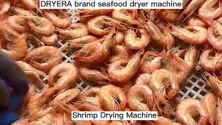 DRYERA Shrimp Dryer Machine