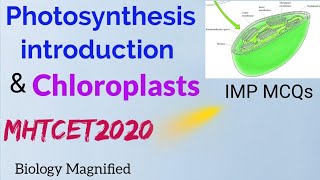 IMP MCQs & Concepts of Photosynthesis & Chloroplasts for mhtcet 2020/ 12th biology by