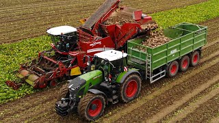 Suger beat harvest w/ Grimme Maxxtron 620 & Fendt 942 Vario Gen6