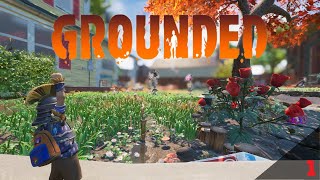 Grounded Adventures #1 (Full game release)