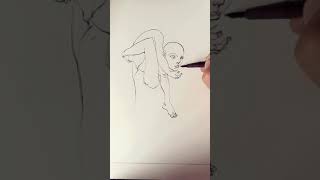 Time-lapse drawing - quick pen and ink sketch