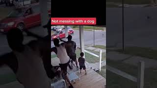 Dad kicks son running from a dog