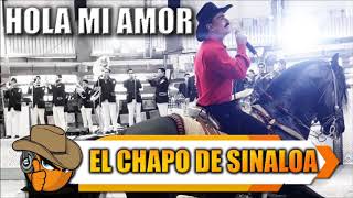 HOLA MI AMOR - El Chapo De Sinaloa