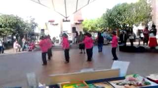 Line dancing  in city focus  rotorua