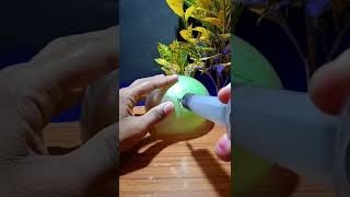 Syringe vs Water Balloon | Balloon Experiment | Balloon life hacks | #shorts #balloon #hacks